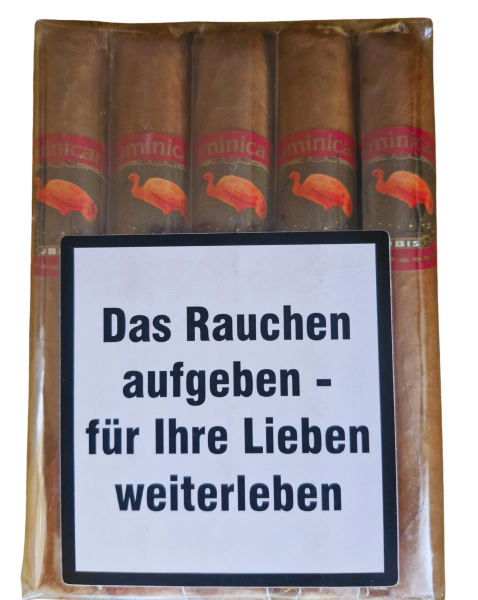 Ibis Dominican Robusto 10er Bundle