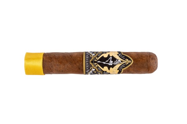 SkelTon xRelaxx Robusto