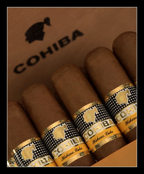 Cohiba Robusto