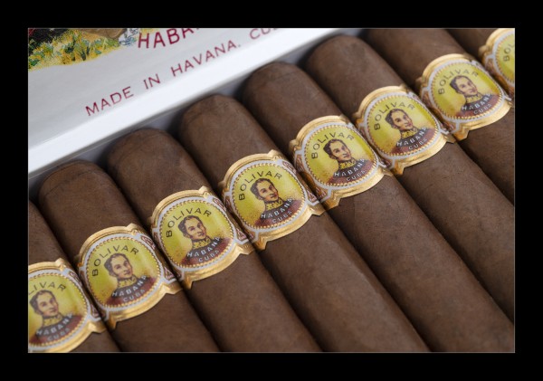Bolivar Royal Coronas