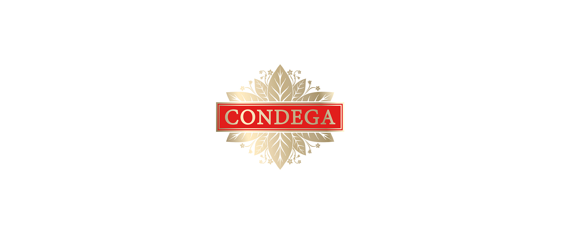 condega-header-01-v1