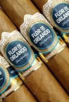 Flor de Orlando Zigarre Flor de Orlando Zigarre