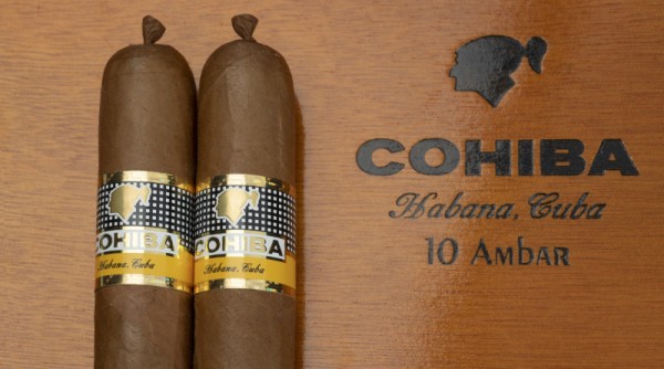Cohiba Ambar