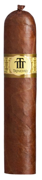 Trinidad Vigia