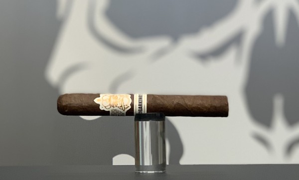 CigarKings Maduro Zigarren